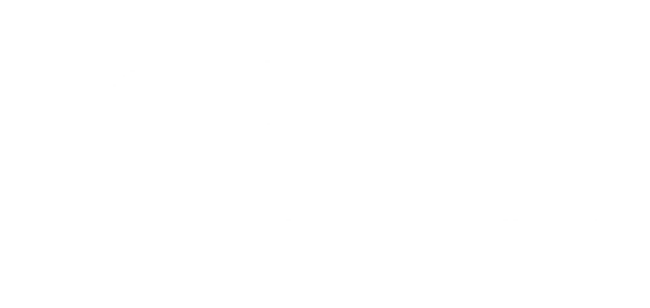 logo light